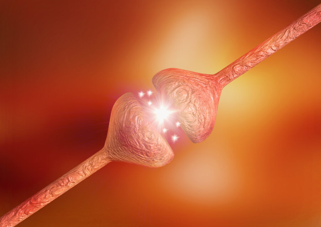 Which Neurons are Most Affected by Dementia?