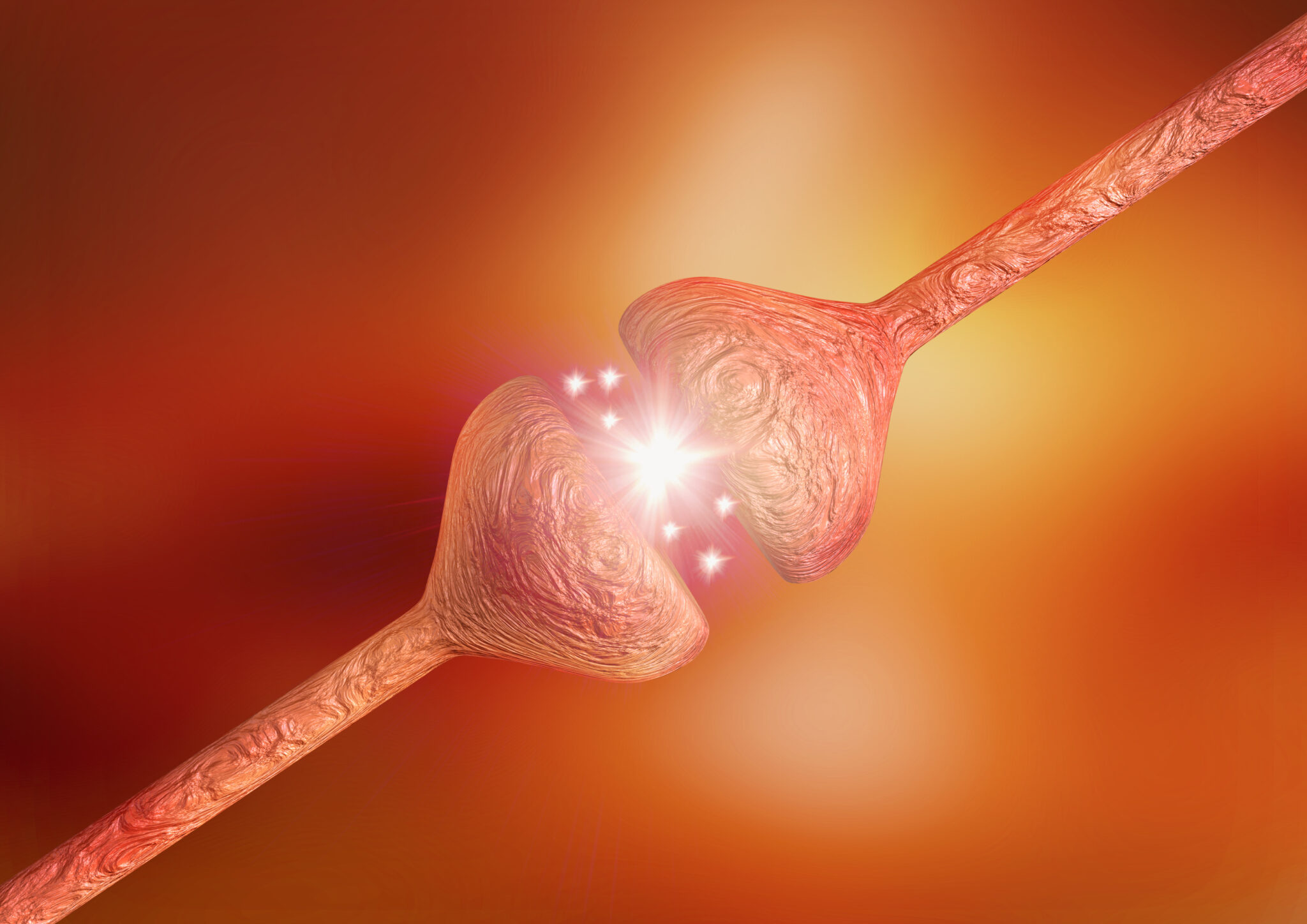 What is the best time to take metformin – HelpDementia.com - Best Time To Take Metformin When Fasting