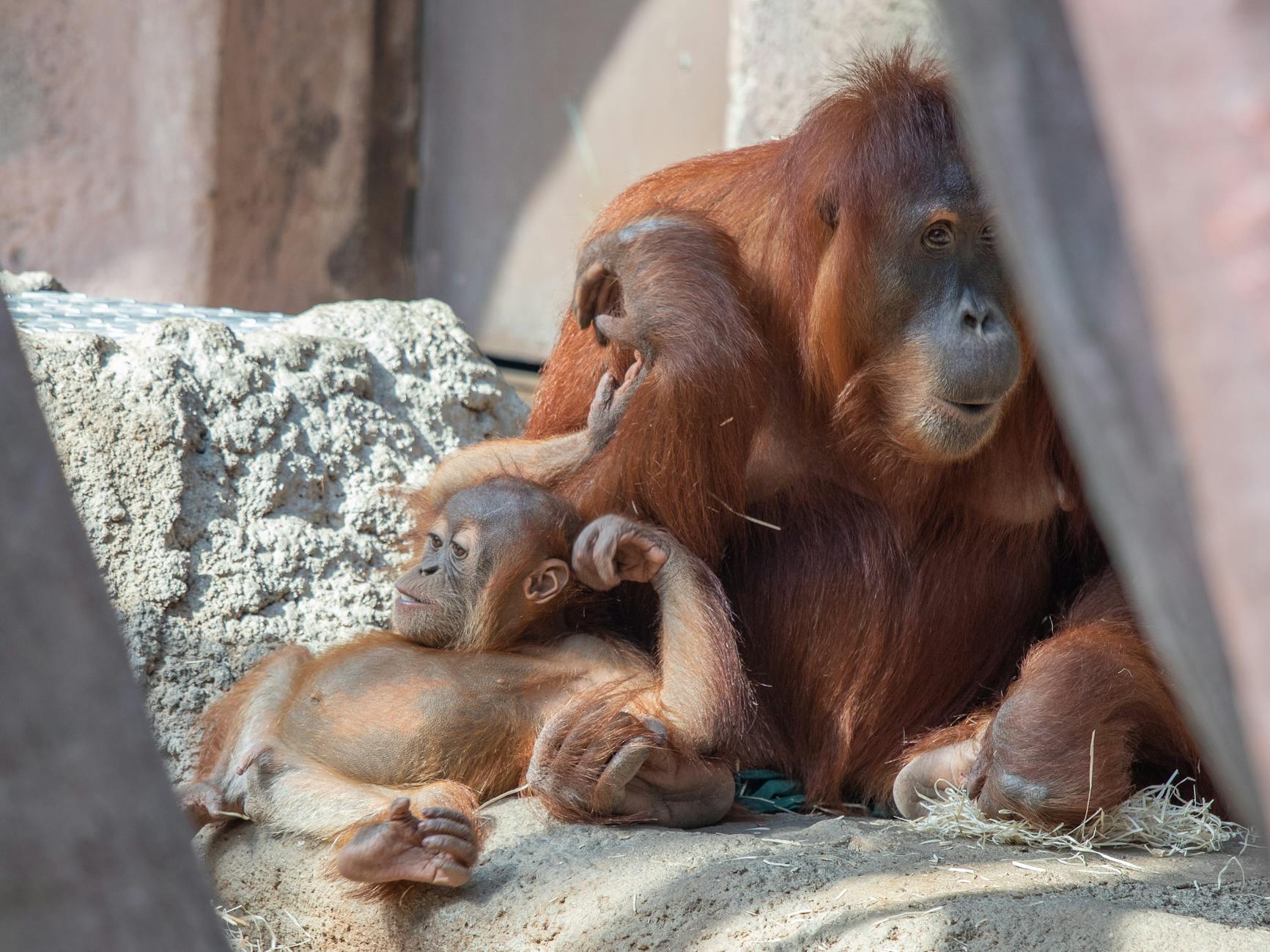 Gene-Environment Interactions and Modifiable Risk Factors