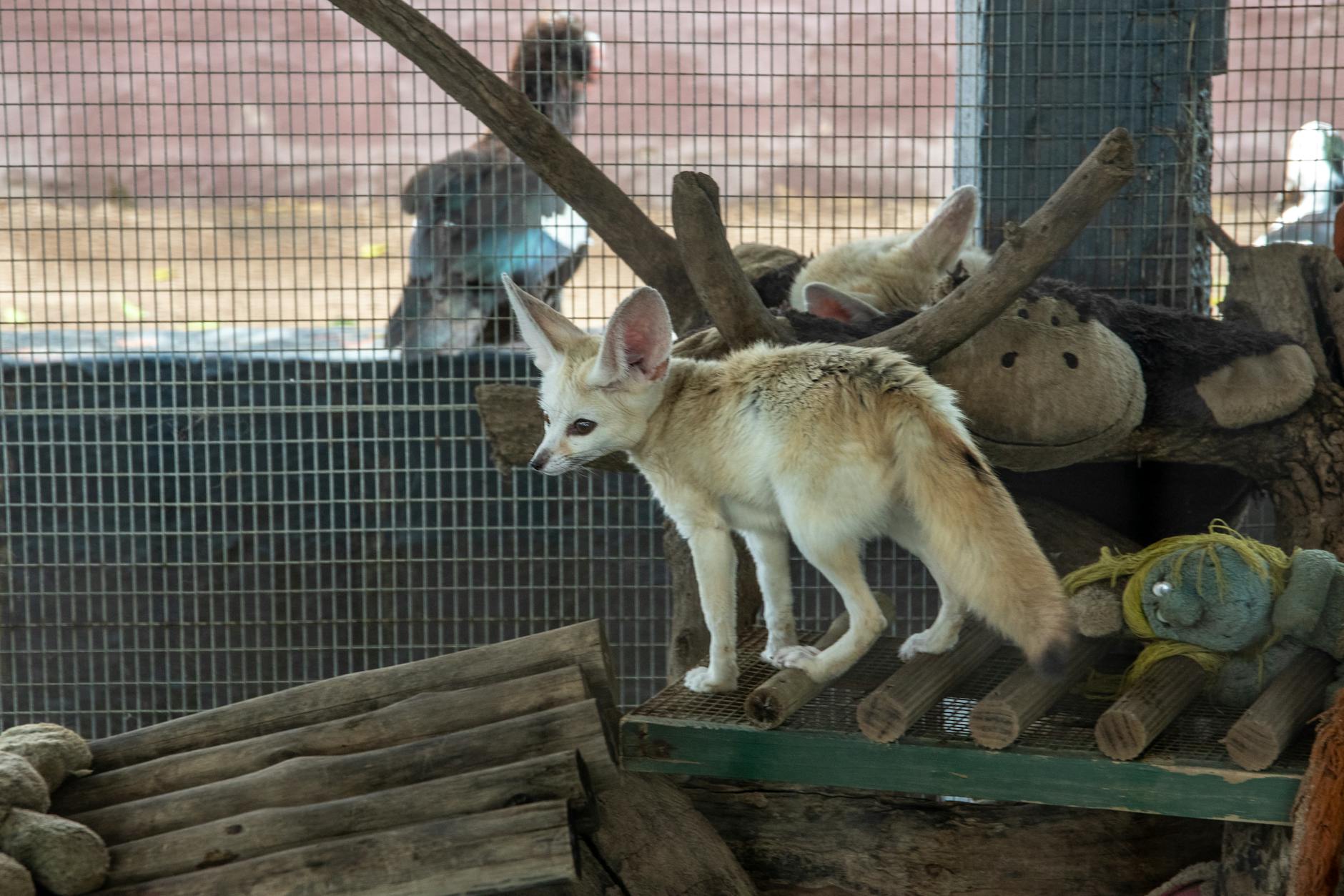 How Michael J. Fox's Foundation Has Changed Parkinson's Research