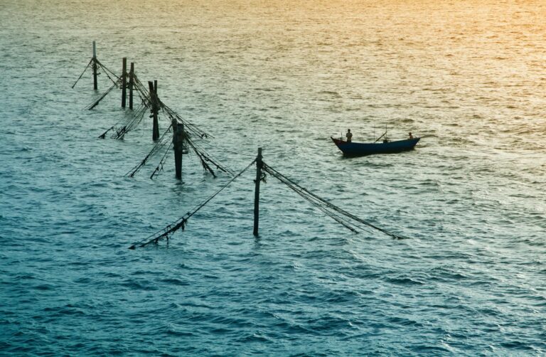 The Braak Stages of Tau Spreading in the Brain - Featured image