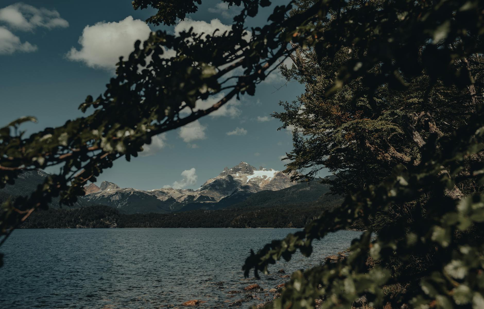 The Often-Overlooked Non-Motor Symptoms That Steal Autonomy