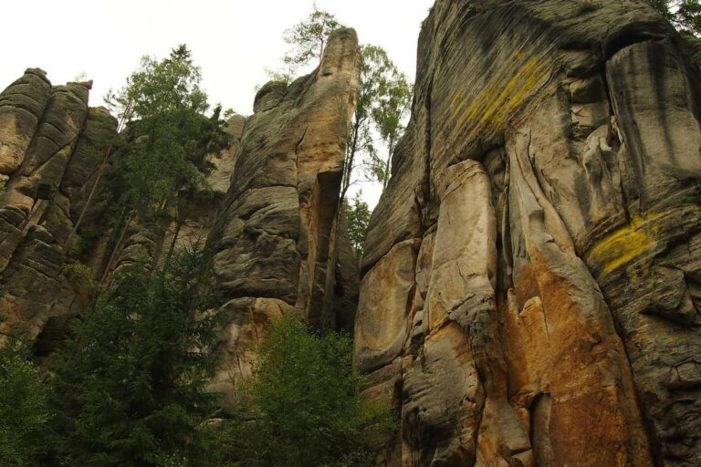 Image for Understanding How Proteins Block Brain Synapses in Alzheimer's