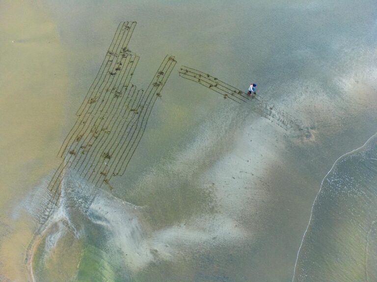 Understanding Tau Spread Along Brain Networks - Featured image