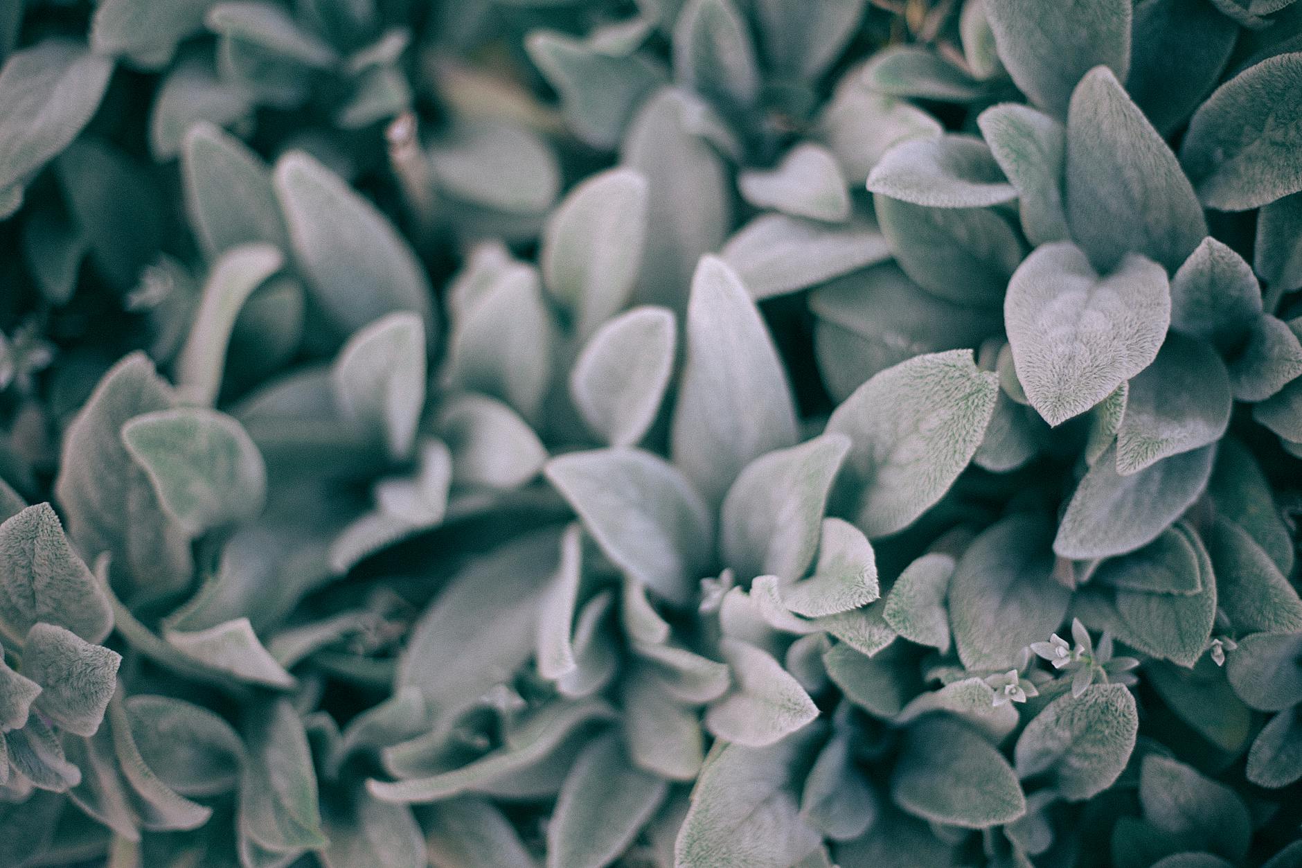 What Exactly Is Mild Cognitive Impairment and How Does It Differ From Normal Aging?