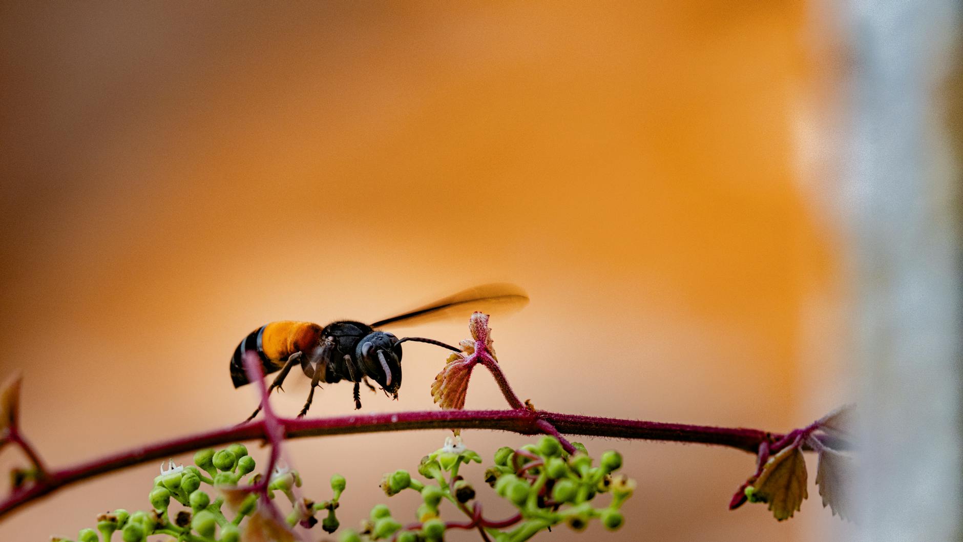 What Is Tau Protein and Why Does Its Spread Match Memory Loss?