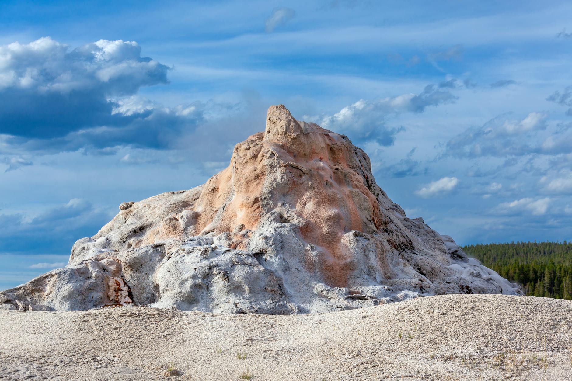 Why BACE Inhibitors Failed to Improve Cognitive Outcomes