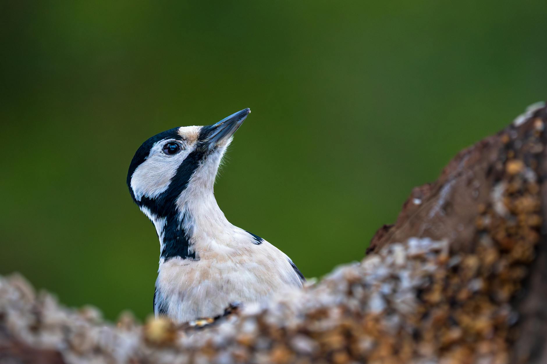 Why Does the First Major Fall Change Everything for Parkinson's Patients?