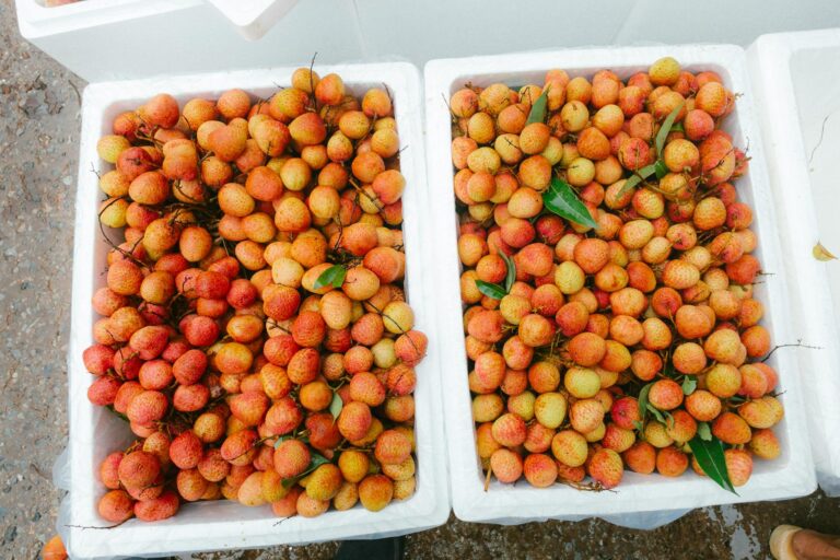 Anthocyanins in Purple Foods: A Secret Weapon for Brain Health? - Featured image