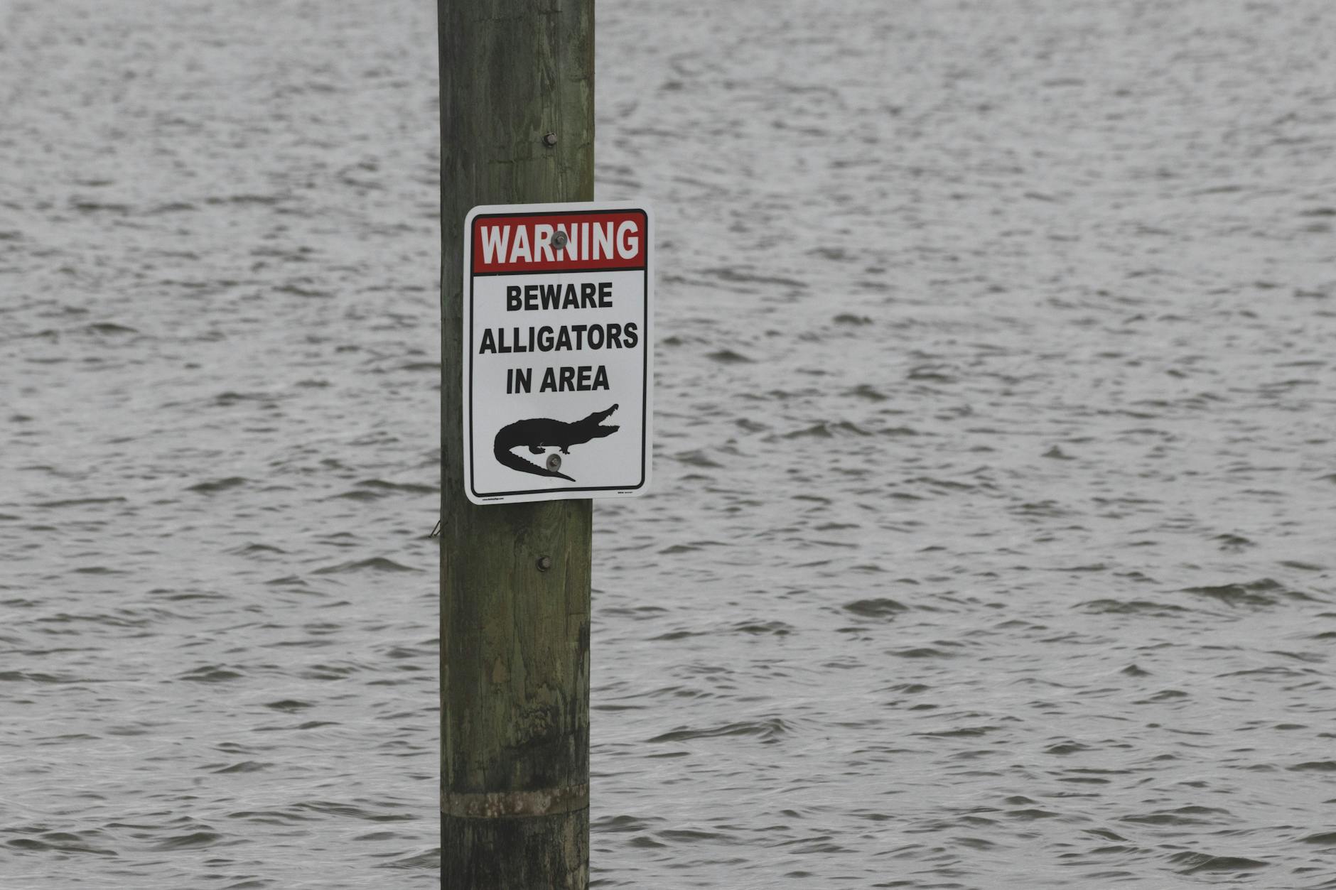 Critical Safety Warnings Every Caregiver Must Understand