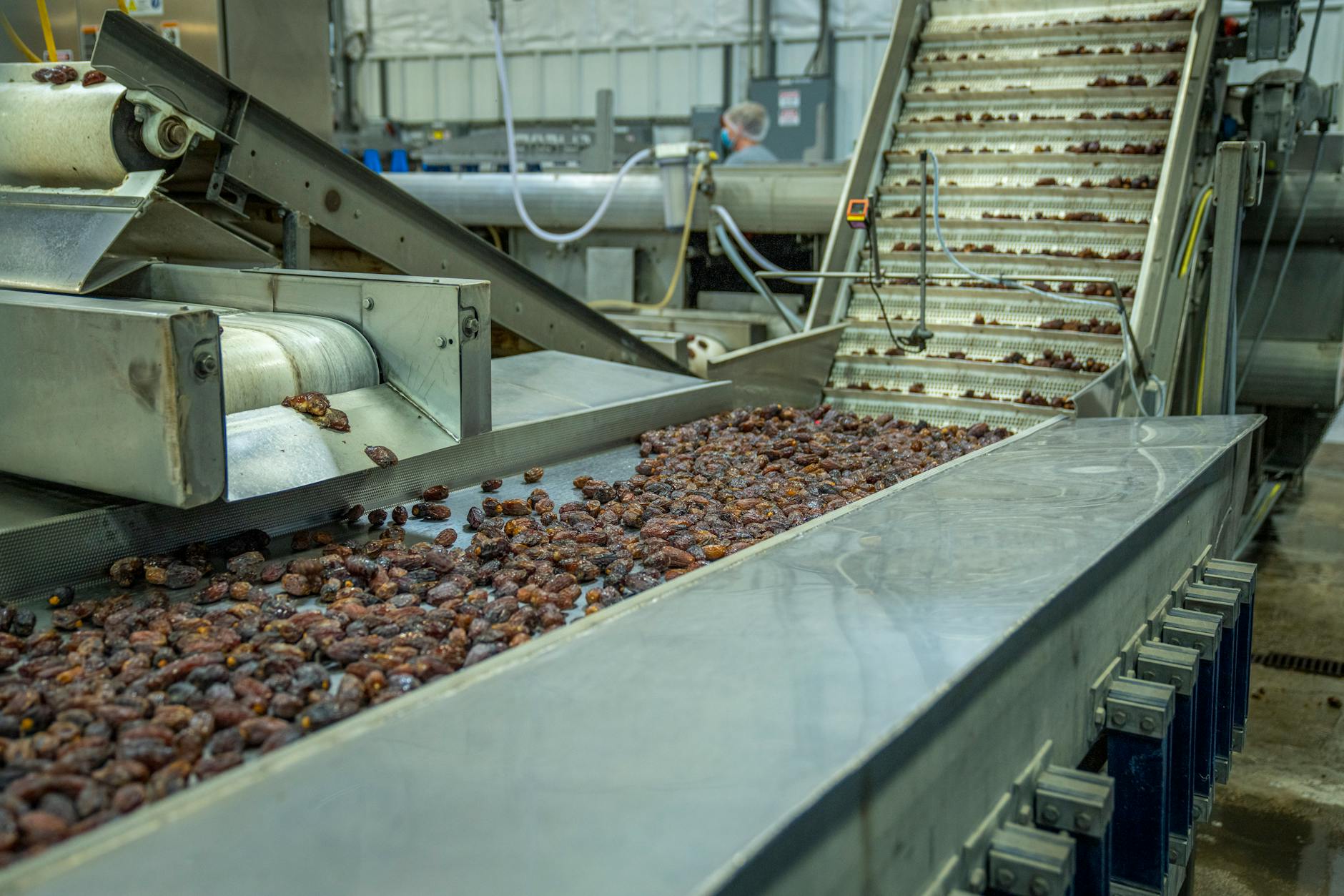 Do Ultra-Processed Foods Physically Shrink the Brain?
