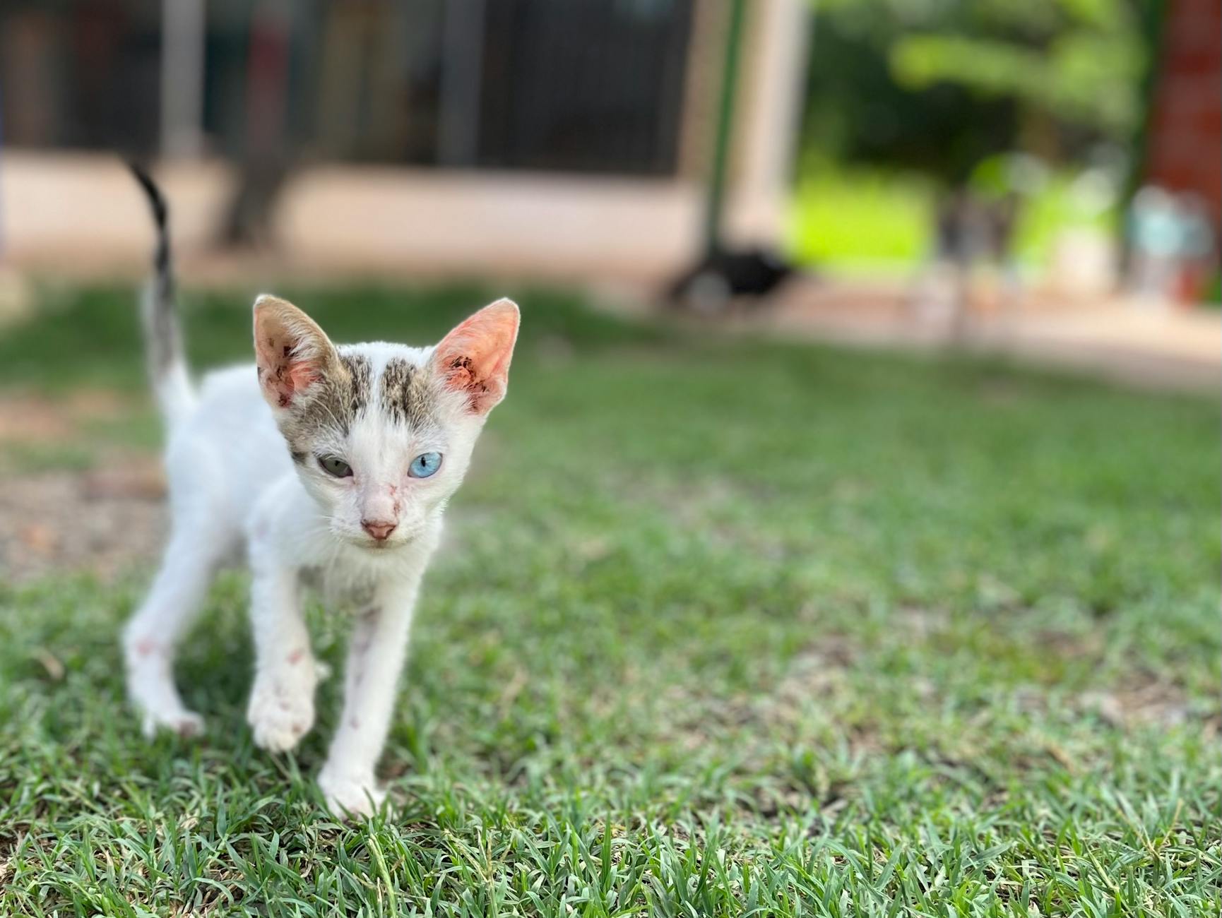 How Alcohol-Related Dementia Differs from Alzheimer's and Other Dementias