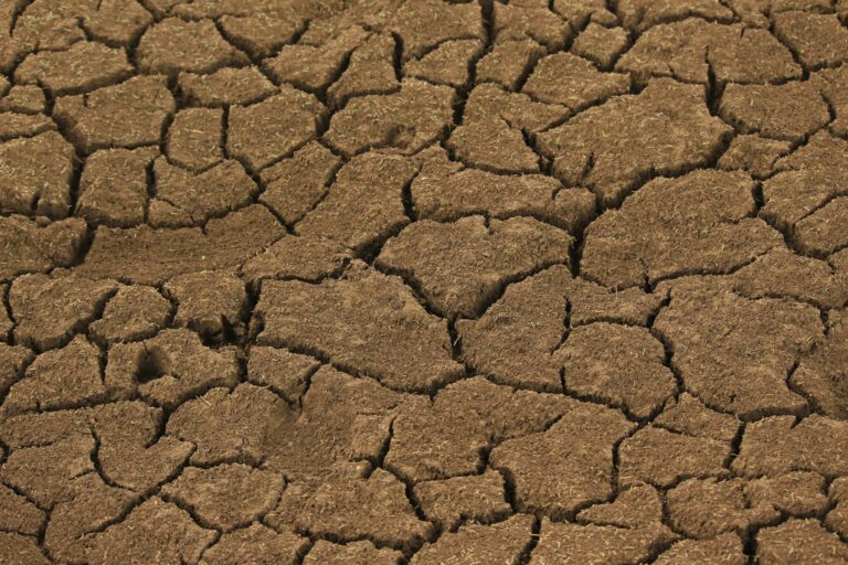 How does dehydration affect cognitive function in older adults - Featured image