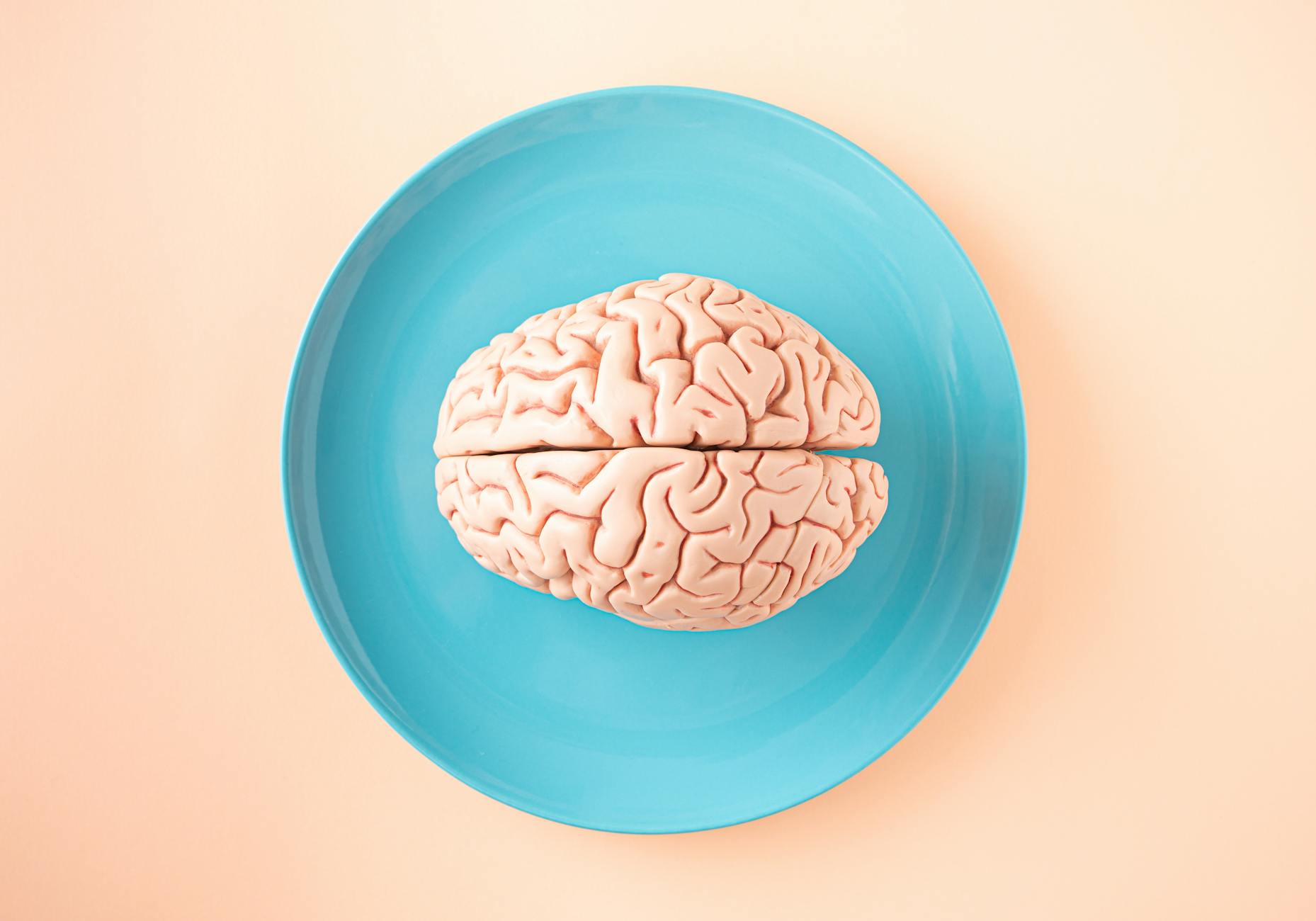 How Does the Gut-Brain Axis Connect Gut Health to Alzheimer's Disease?