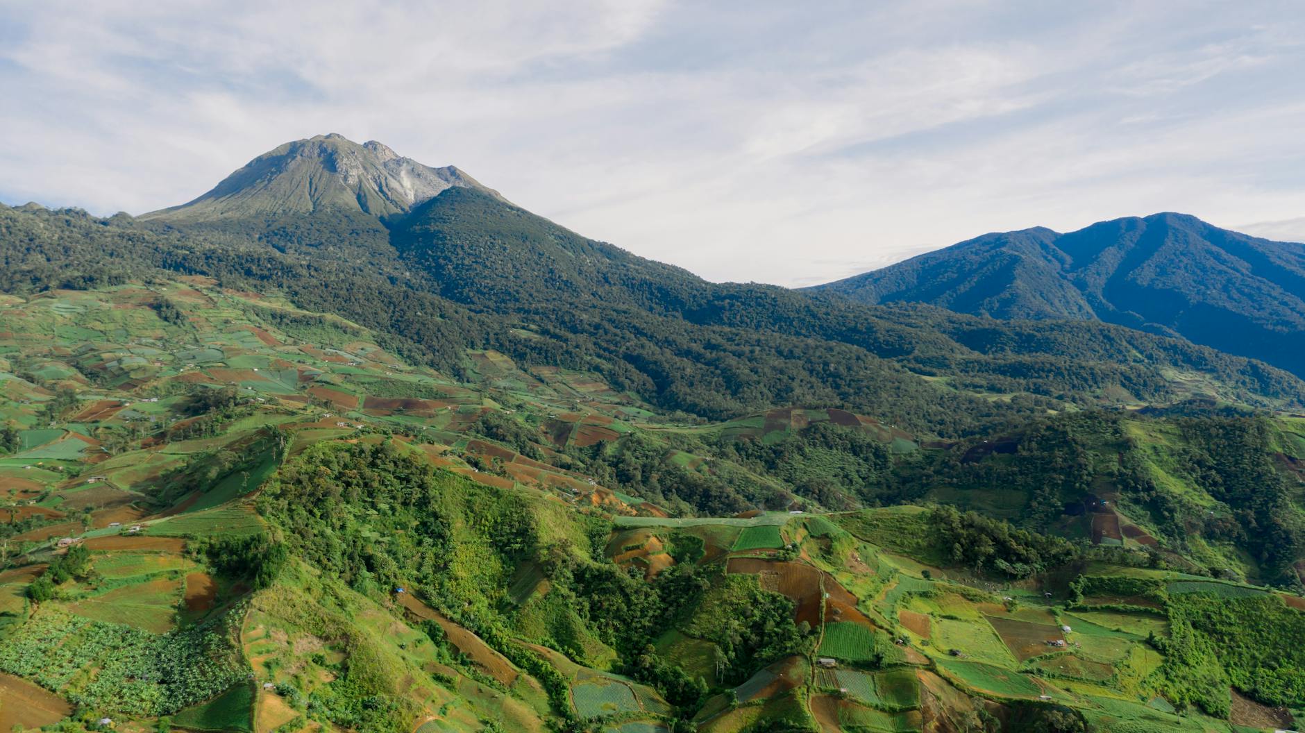 How Genetics Changes Everything — The APOE ε4 Factor