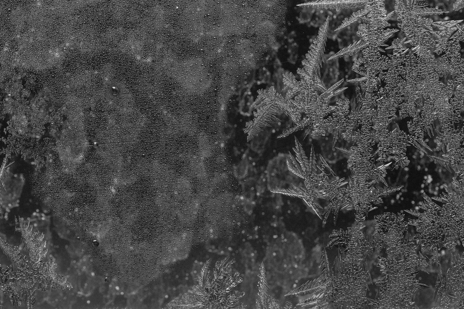 How Motor Complications Affect Survival in Each Stage