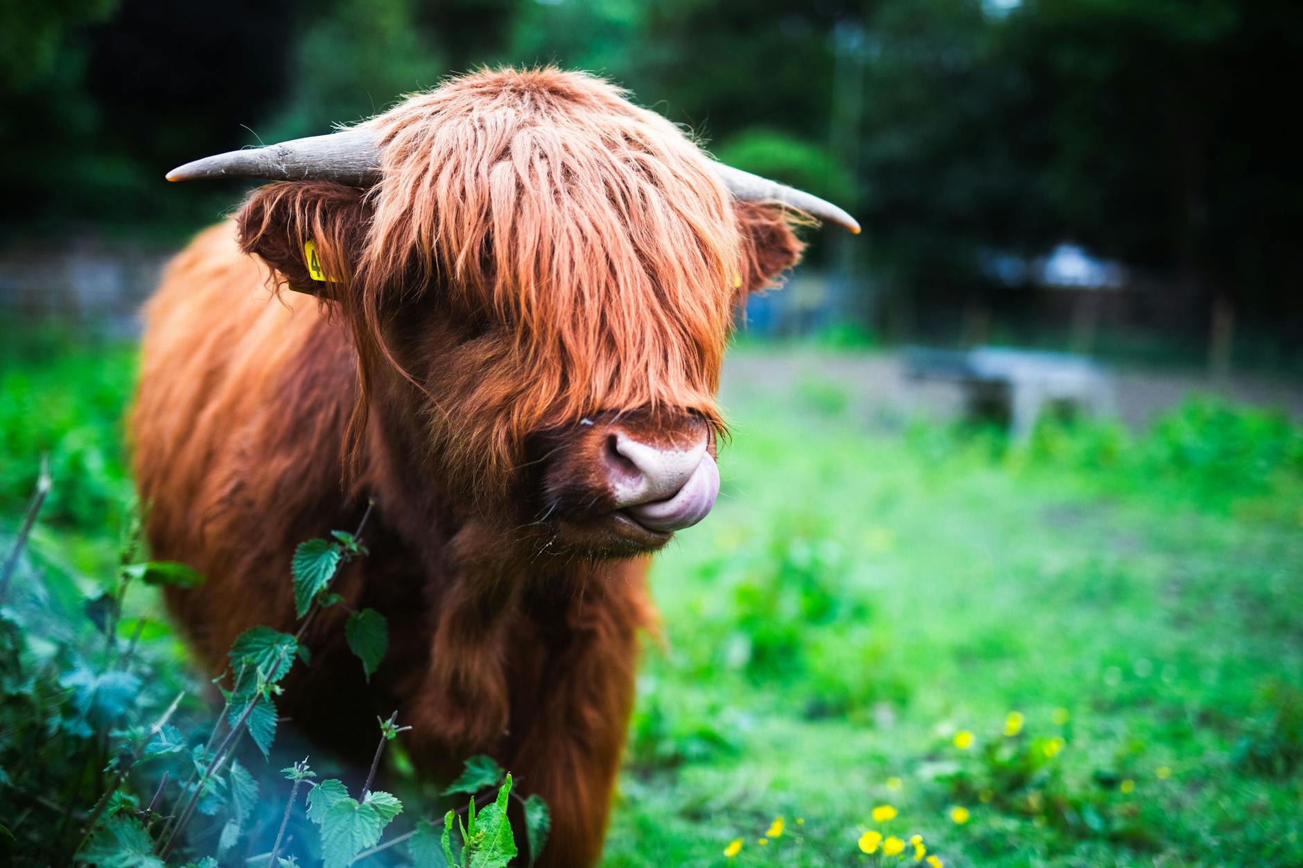 How Much Does Exercise Actually Lower Dementia Risk?