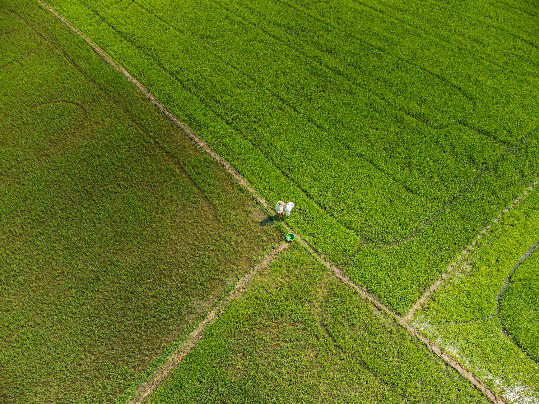 How These Tests Work — Tau Proteins, Amyloid, and What They Measure