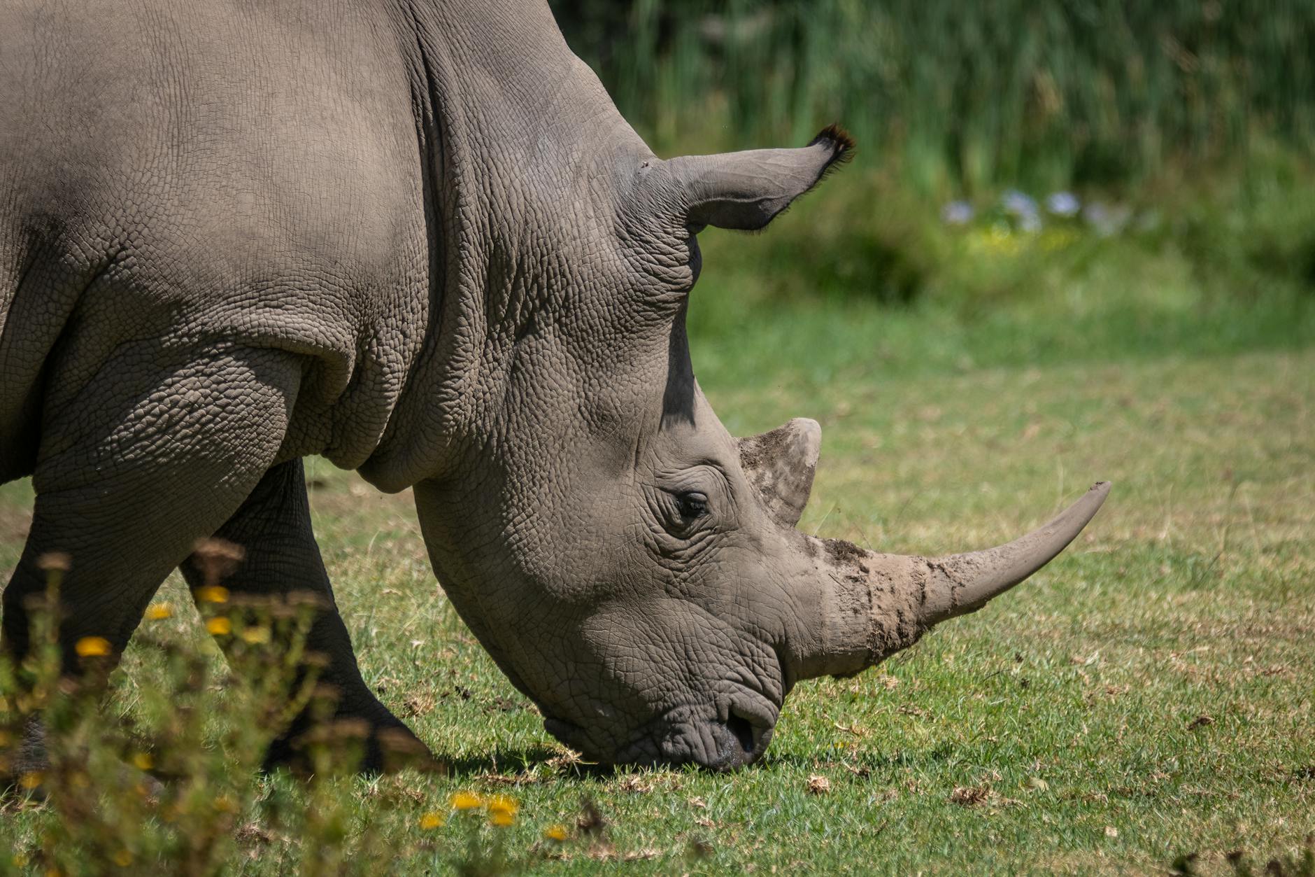 How Thick Should a Chair Cushion Be for Someone with Alzheimer's?