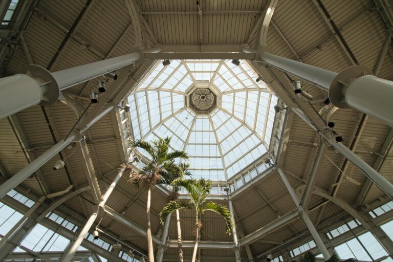 Lewy Body Dementia Stages: A Complete Visual Guide - Featured image