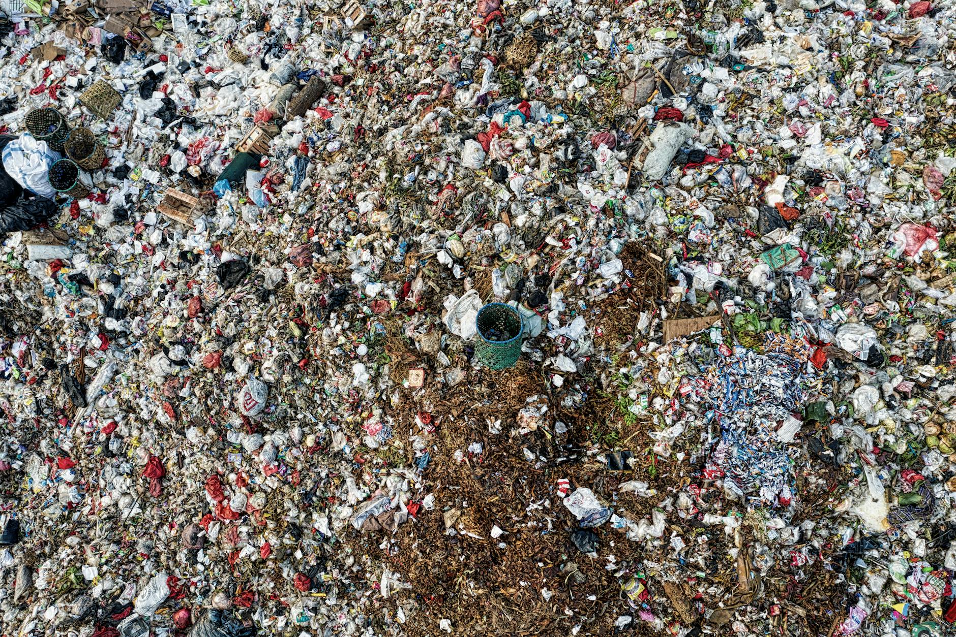 Muscle Wasting and Sarcopenia in Dementia Patients