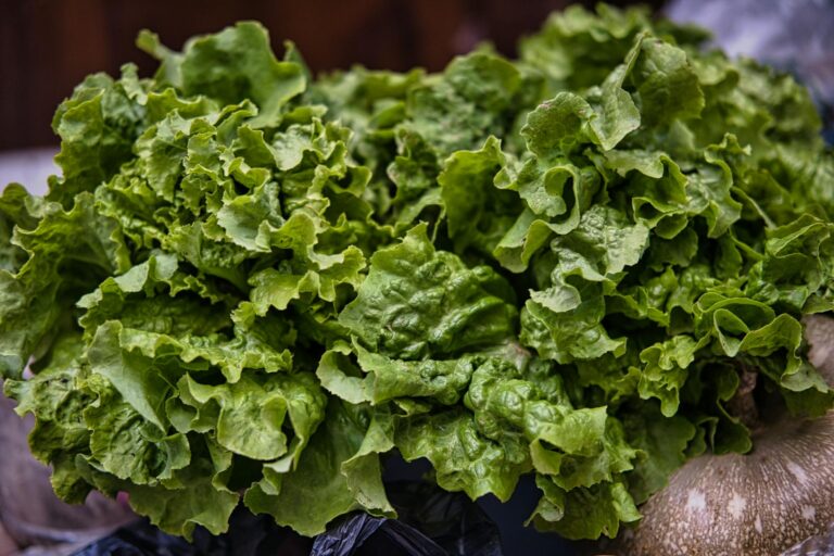 Pesticides in Produce and Parkinson's Risk: Which Foods to Buy Organic - Featured image