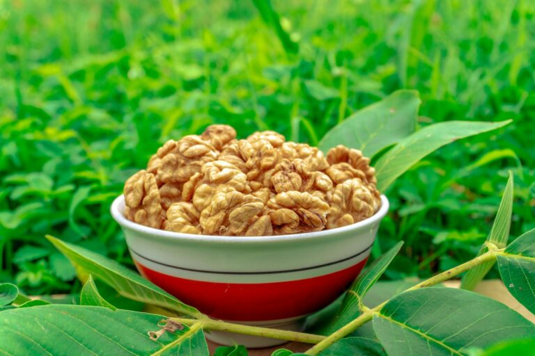 Phosphatidylserine in Foods: A Nutrient Your Brain Craves - Featured image