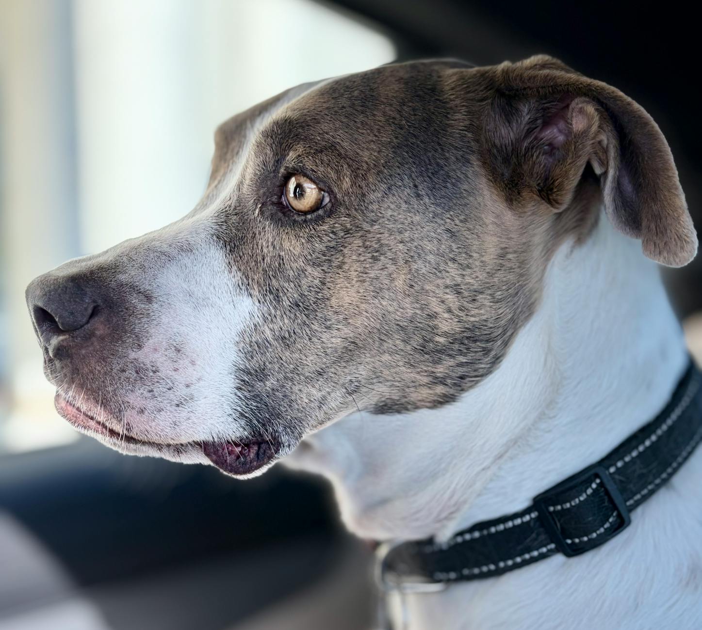 Raked Seats, Lateral Supports, and the Anatomy of a Proper Setup