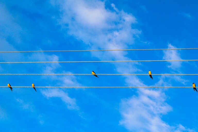 Swallowing Difficulties in Late-Stage Dementia: A Timeline - Featured image