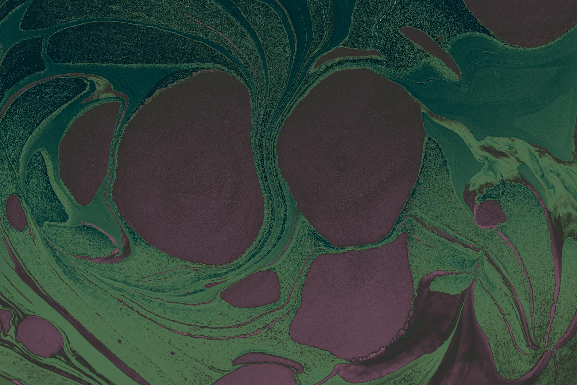 The Best Food Sources of Flavonoids for Brain Health