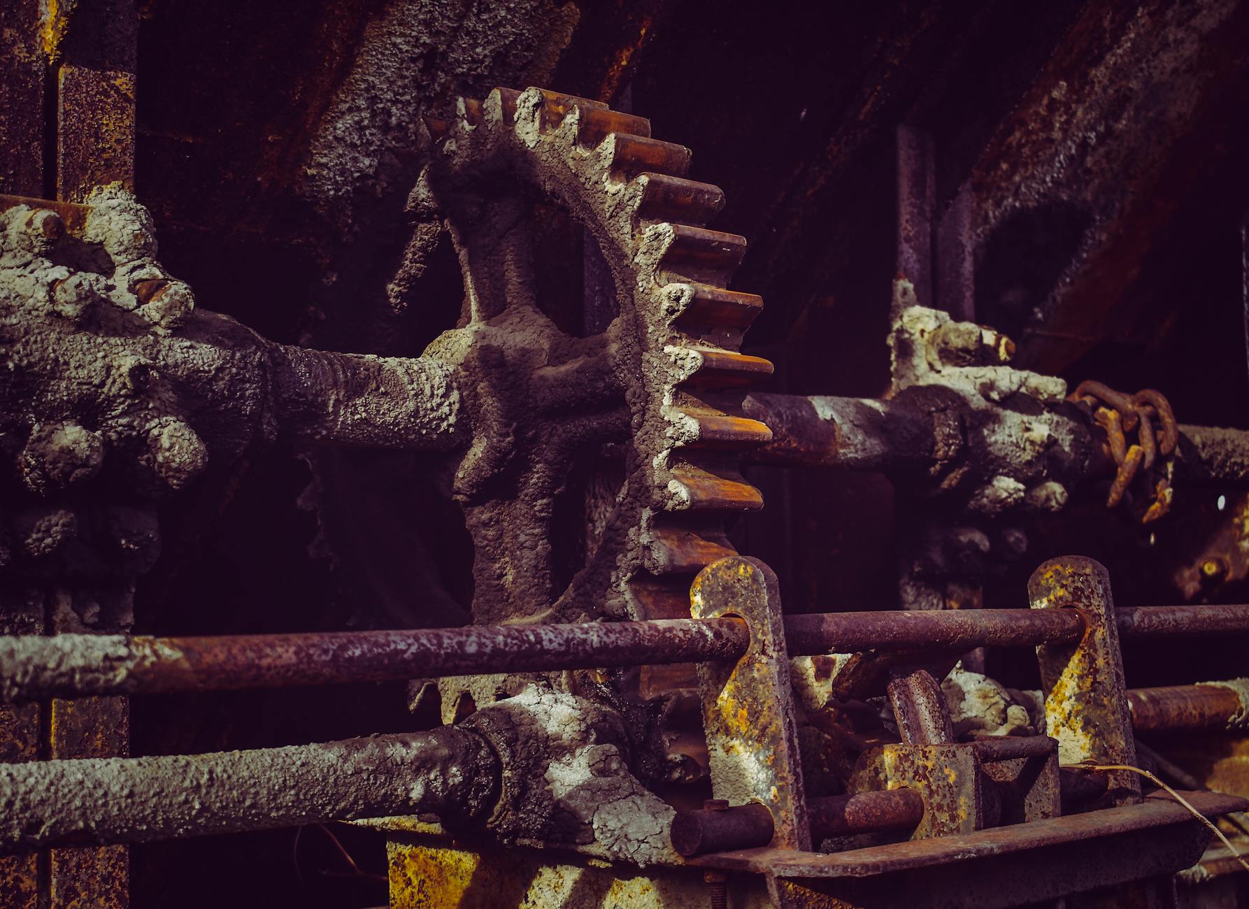 The Biological Mechanisms Behind the Damage