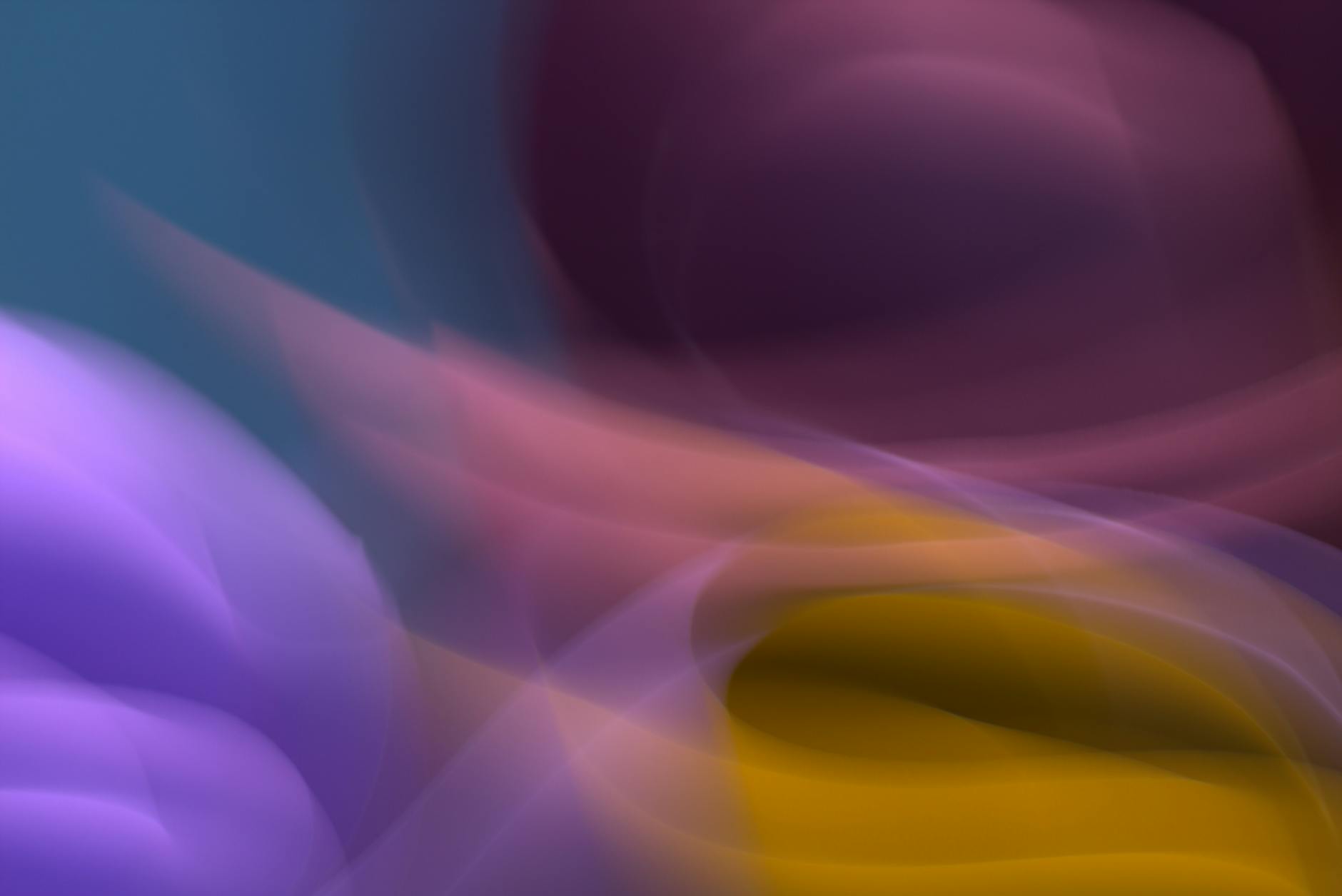 The Science Behind EVOO's Brain-Protective Compounds