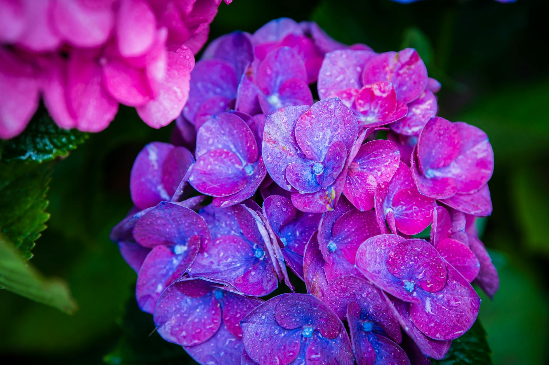 What Are the Earliest Visual Symptoms of Posterior Cortical Atrophy?