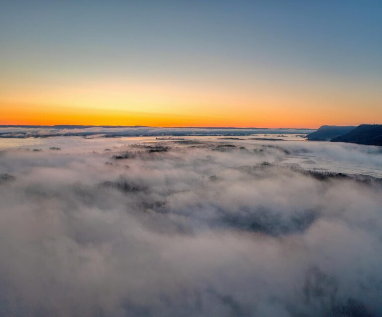 What are the early signs that mild cognitive impairment is becoming dementia - Featured image