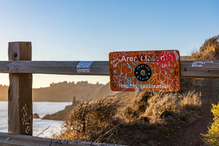 What are the early warning signs of dementia in women - Featured image