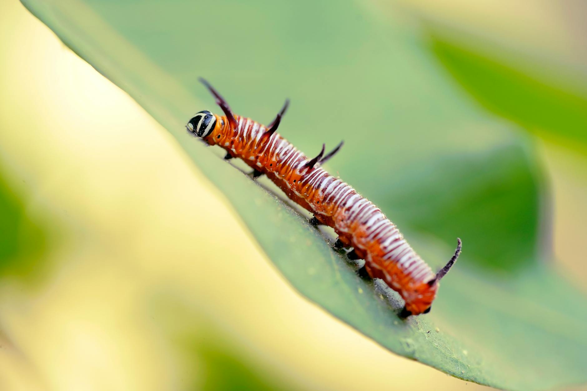 What Are the Most Common Causes of Falls in Elderly People at Home?