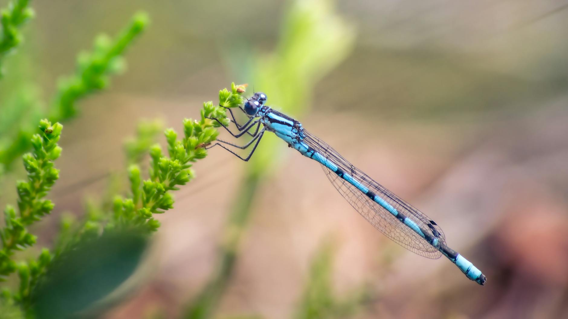 What Are the Most Common Signs of Elder Abuse or Neglect?