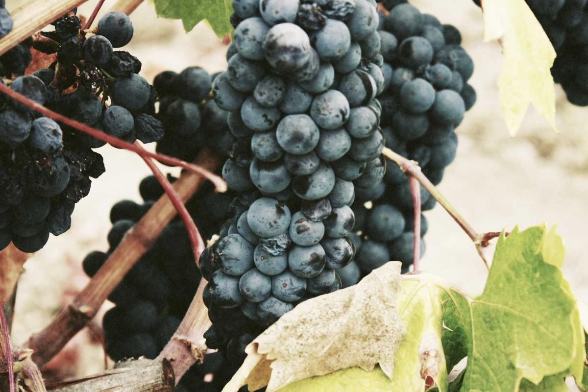 What Are the Risks of Inadequate Seating?