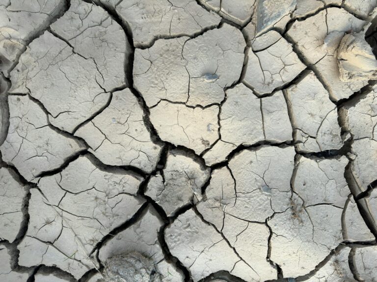 What are the signs of dehydration in older adults - Featured image