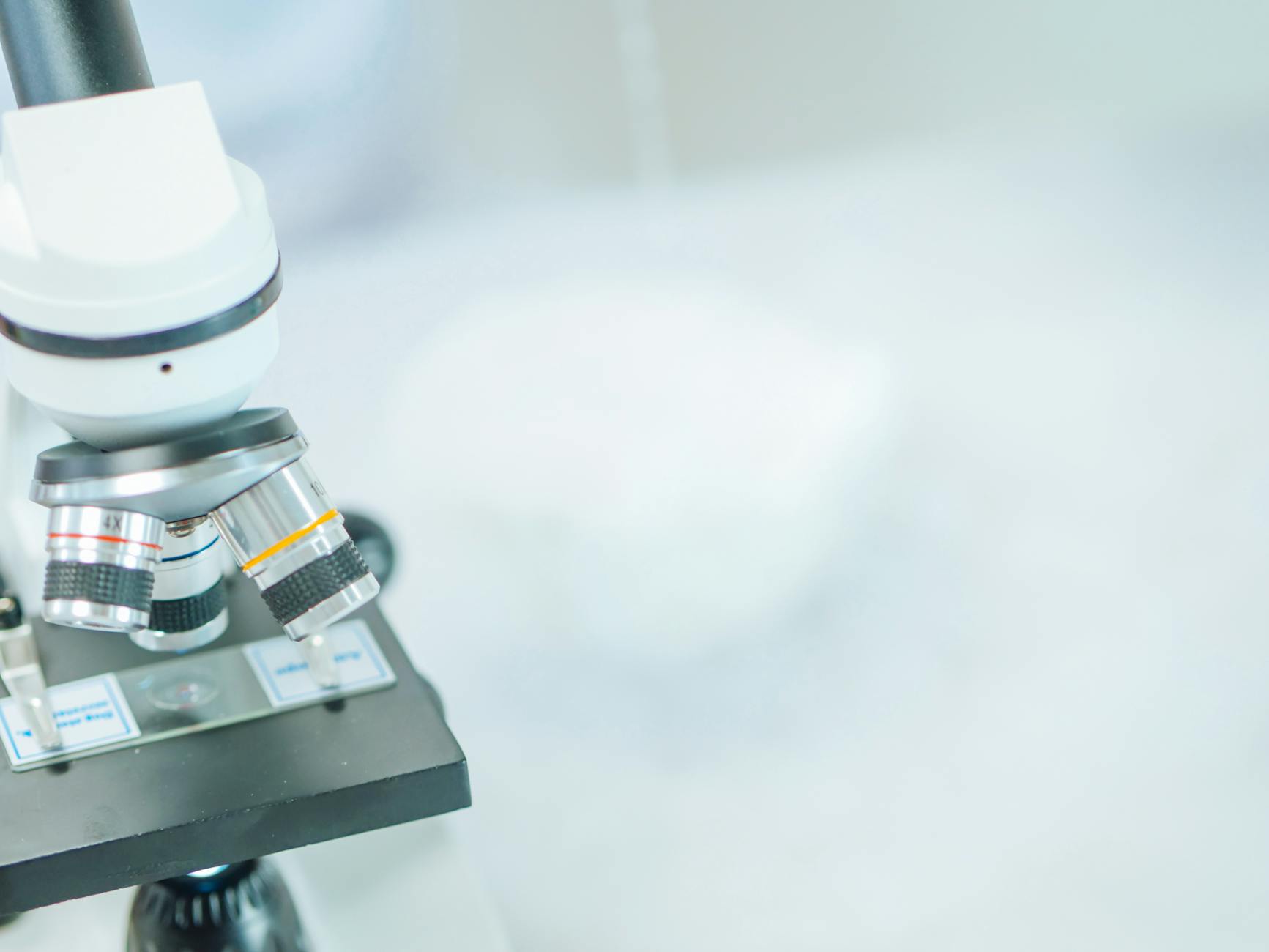 What Did Earlier Research Say About Red Wine and Alzheimer's Risk?