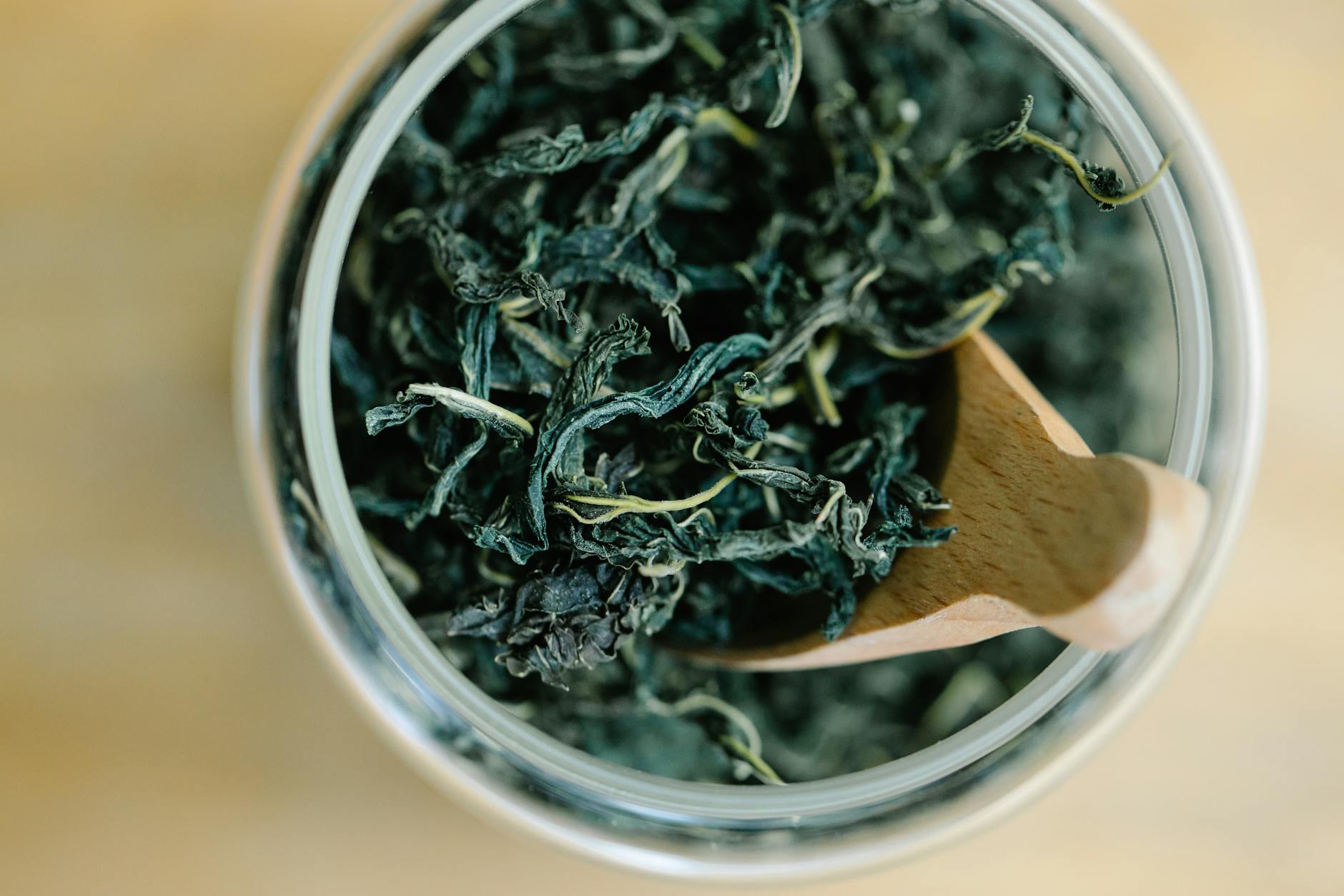 What Does Green Tea Actually Do for Memory and Focus in Older Adults?