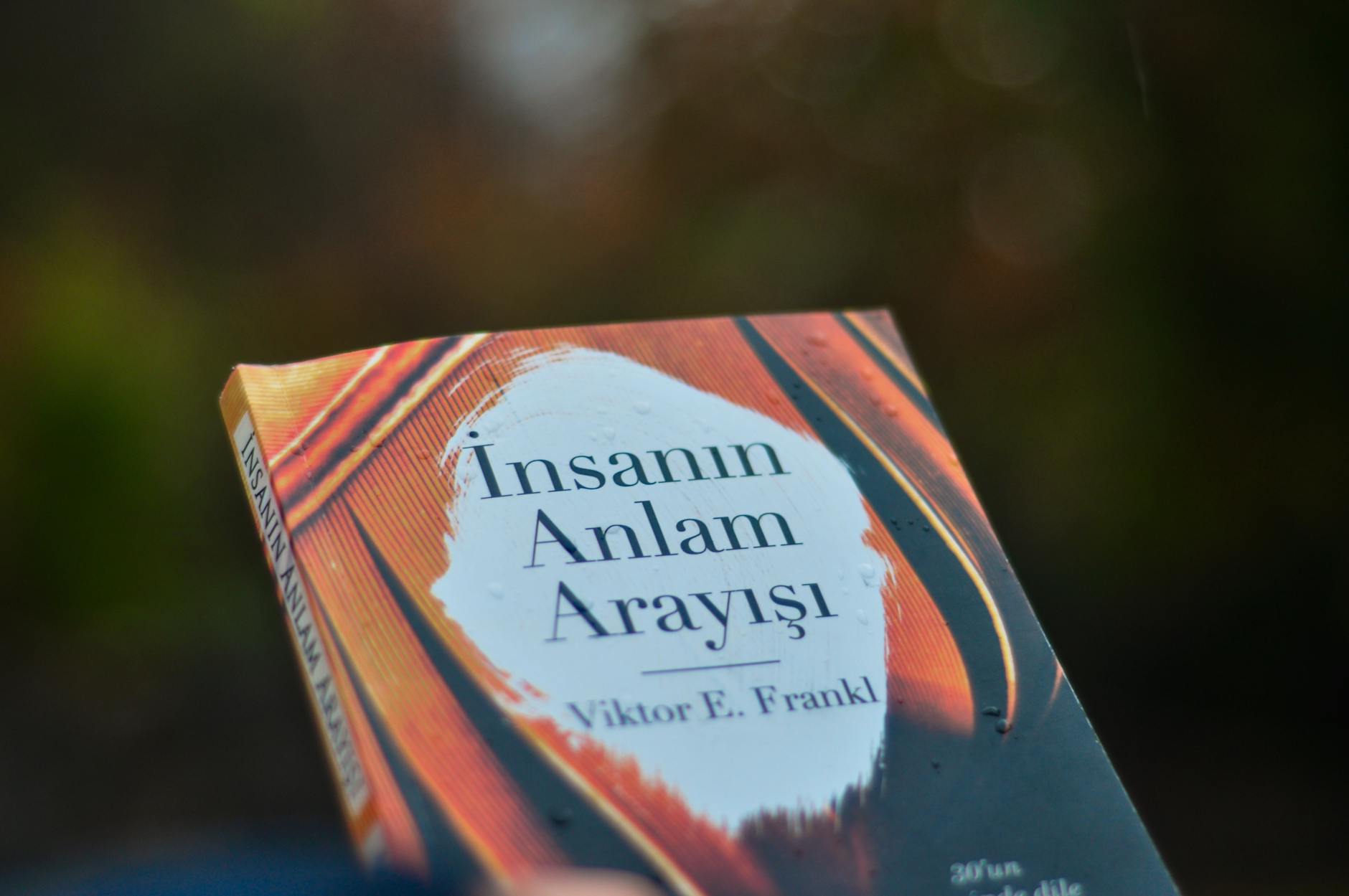 What Does It Actually Mean When Dementia Stabilizes or Cognitive Decline Plateaus?