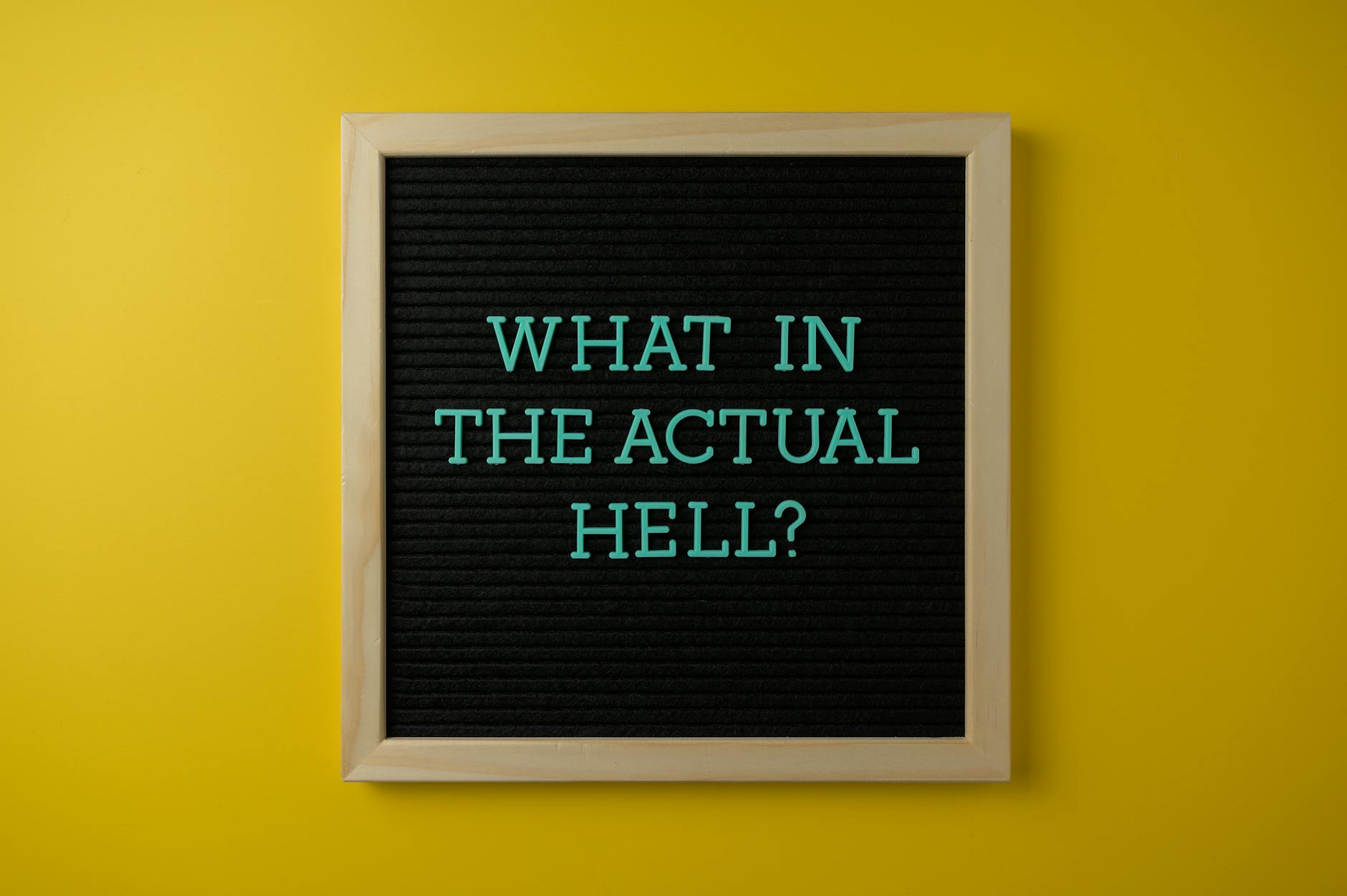 What Does Psilocybin Actually Do in the Brain, and Why Might It Help Dementia Patients?