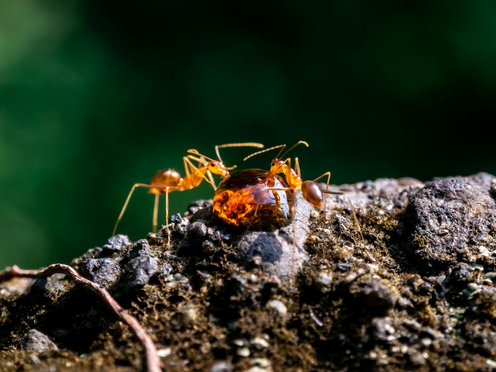 What Exactly Is Subjective Cognitive Decline, and Why Is It Considered a Warning Sign?