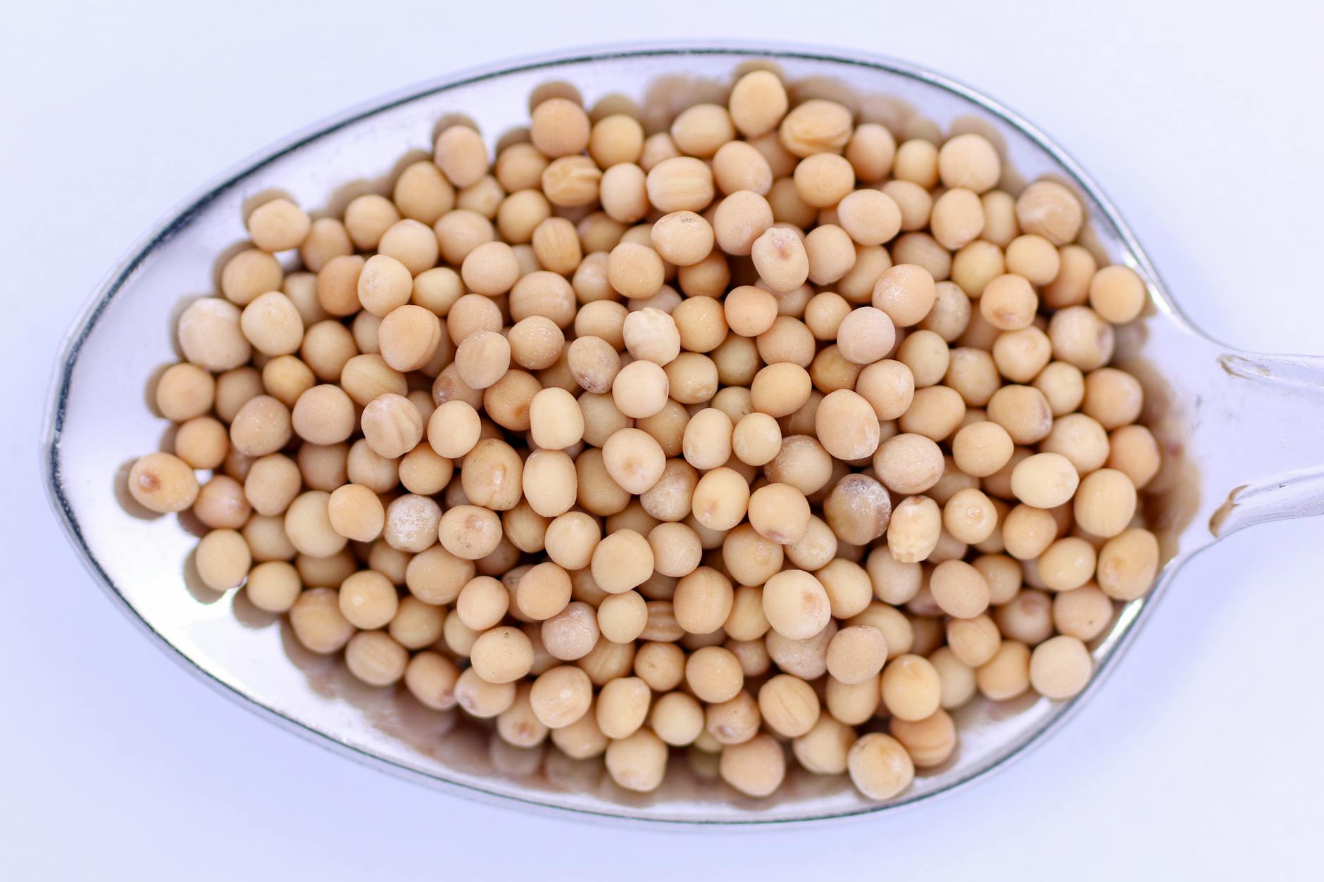 What Ingredients Are Most Supported by Research for Brain-Healthy Smoothies?