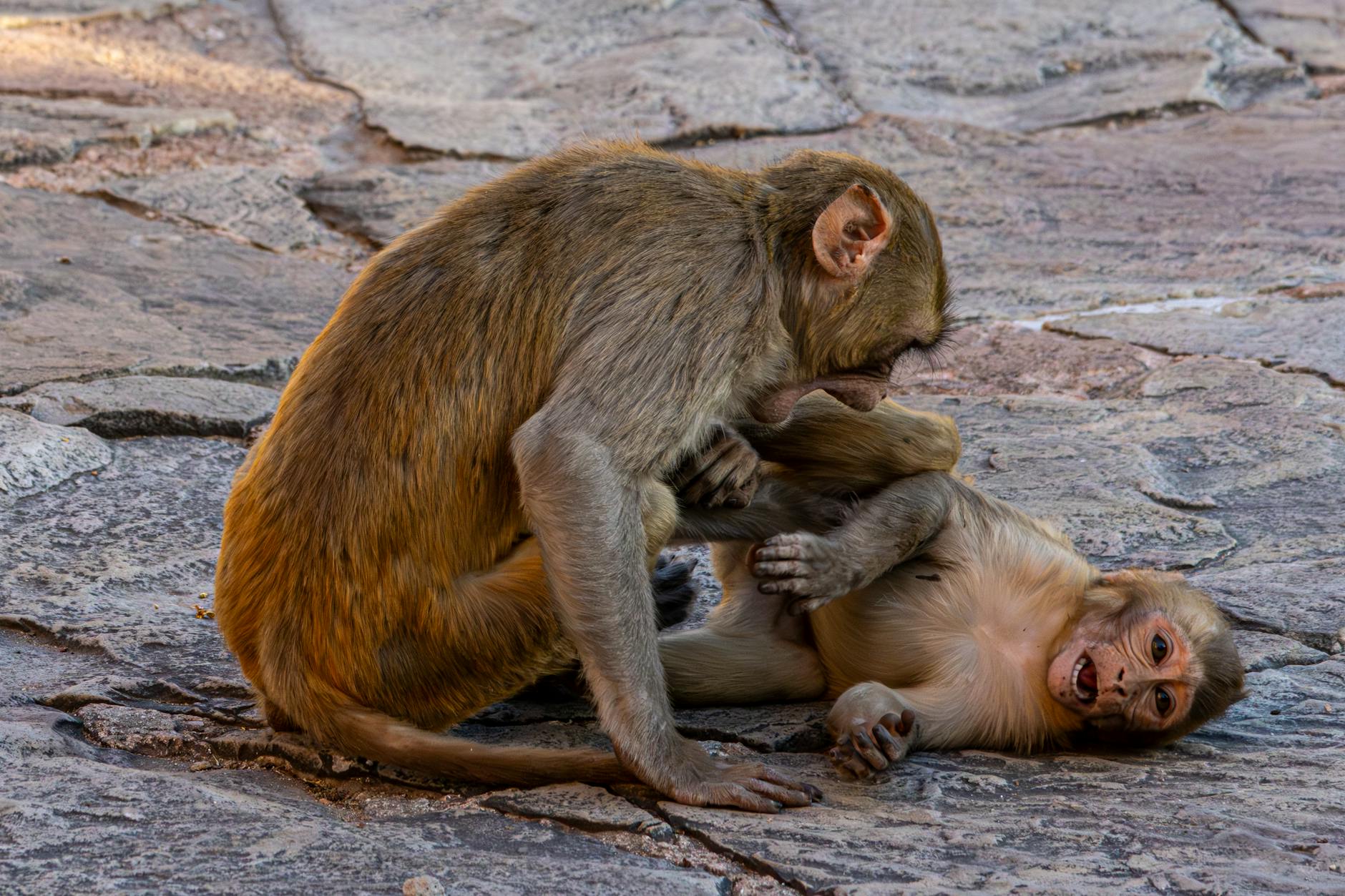 What Role Does Behavioral Change Play in the Decision to Move to Memory Care?