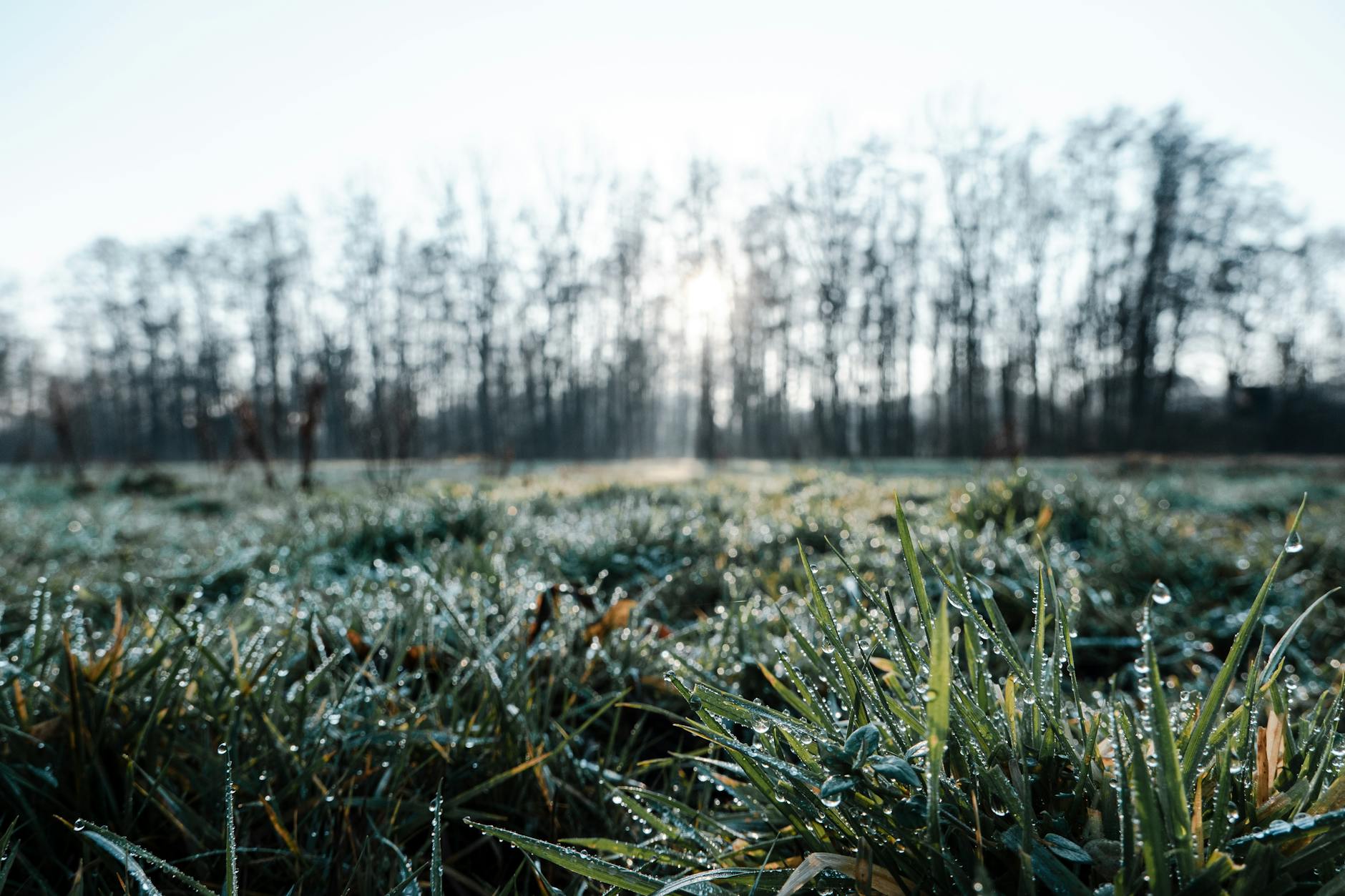 When Does Nursing Home Placement Usually Happen?