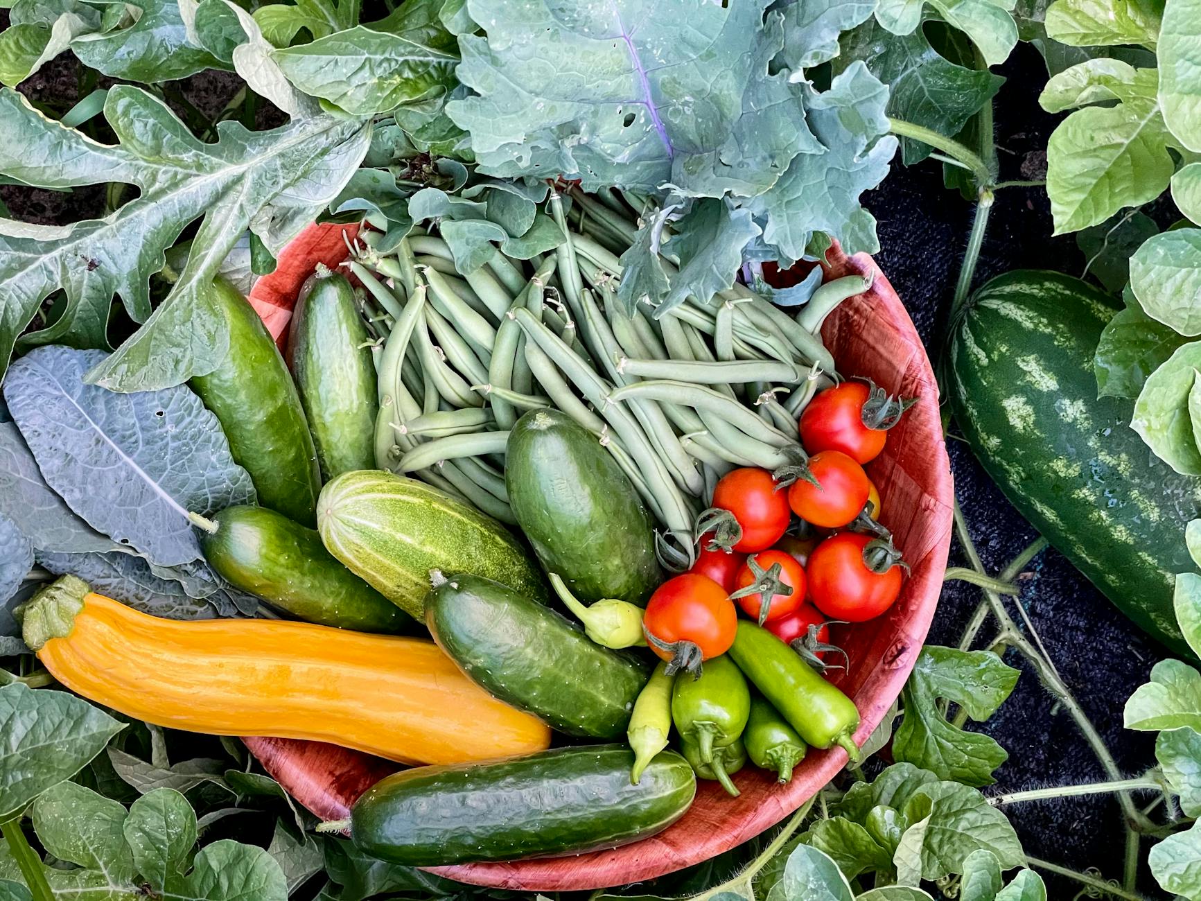 Which Foods Most Directly Increase Blood Flow to the Brain?