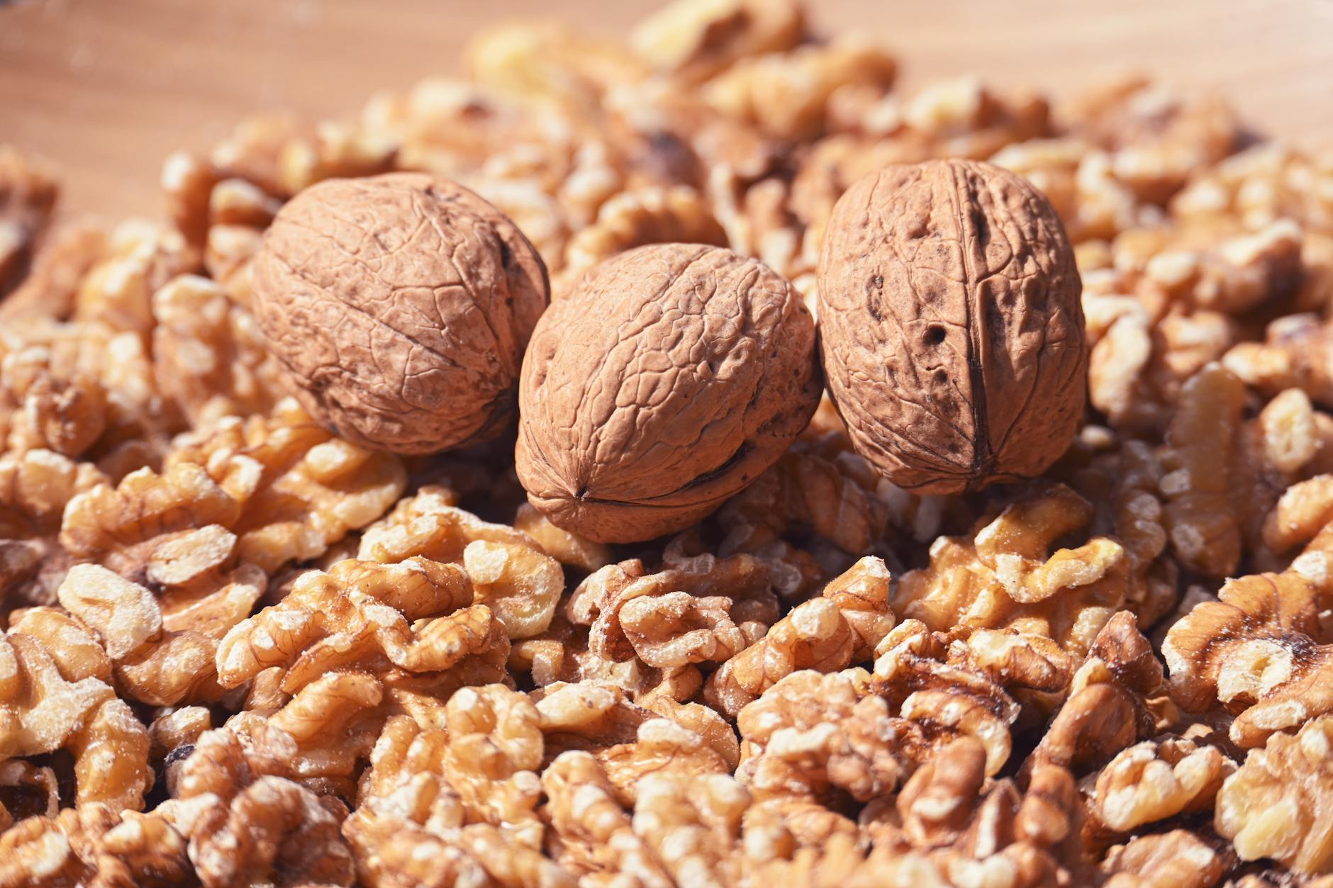 Why Do Walnuts Look Like a Human Brain?