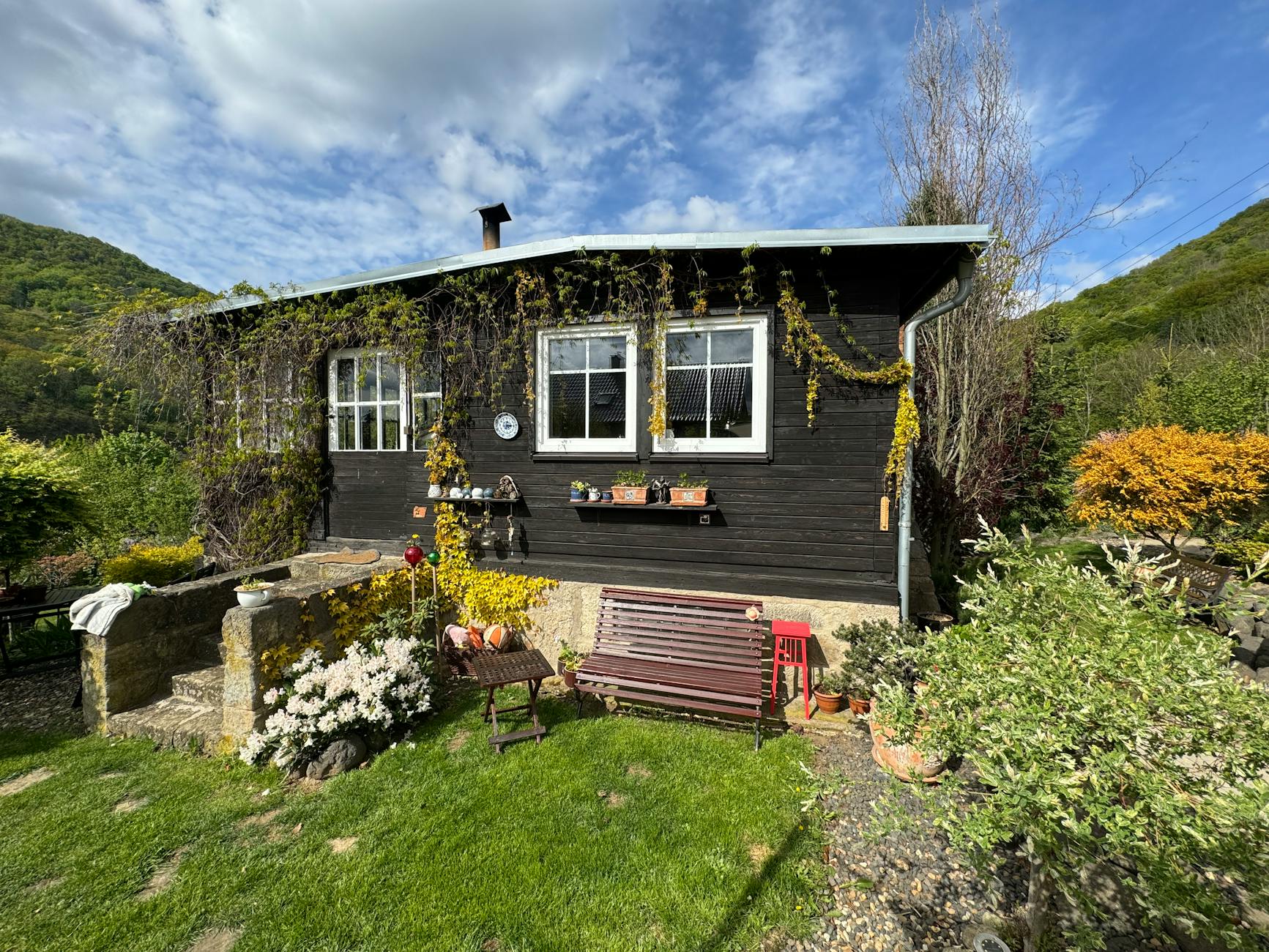 Why Does NAD+ Decline in the Aging Brain — and Does It Matter?